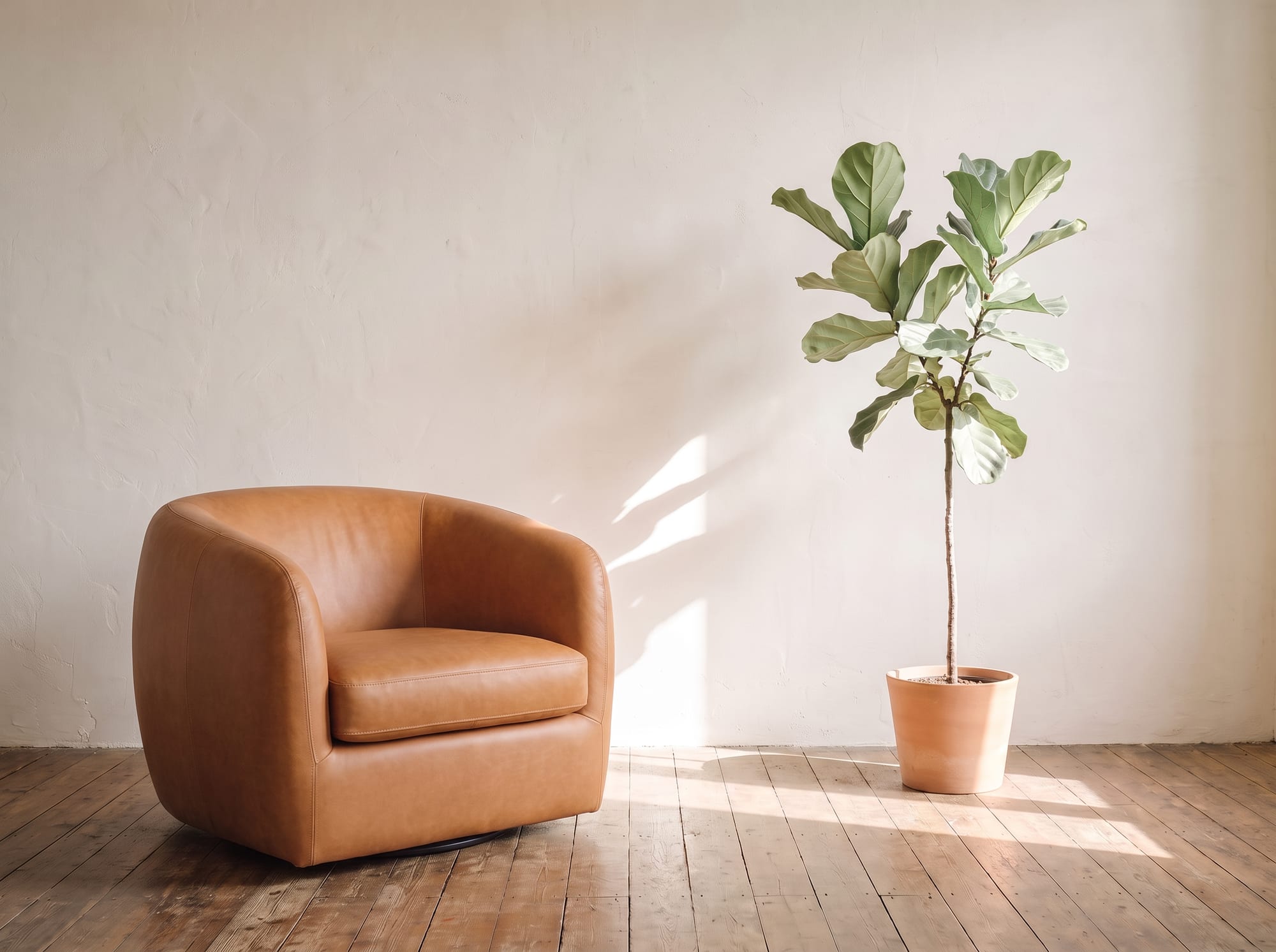 A tan leather armchair and a fiddle-leaf fig in a sunlit white room