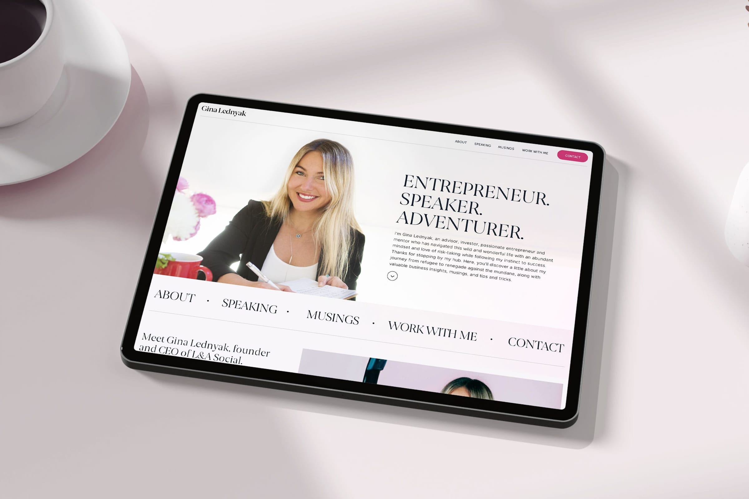 Gina Lednyak design mock-up 2