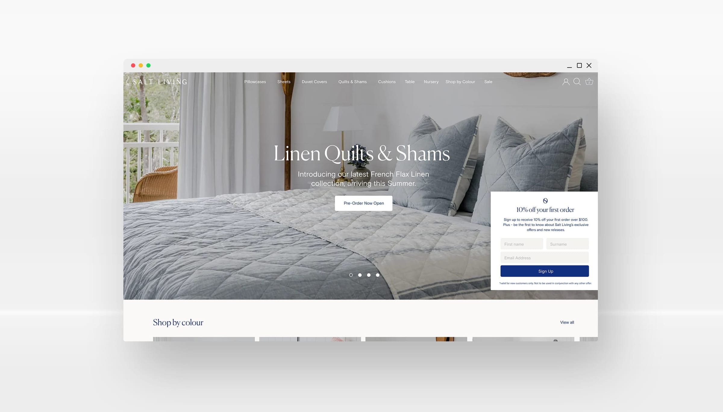 Salt Living design mock-up 4