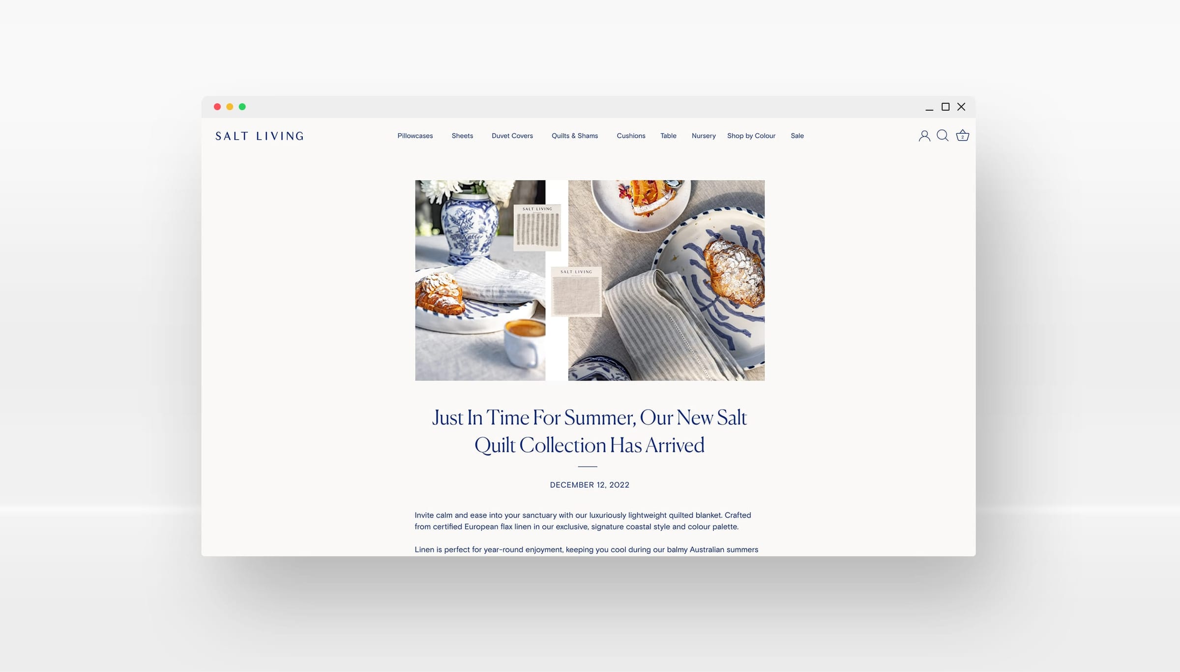 Salt Living design mock-up 8